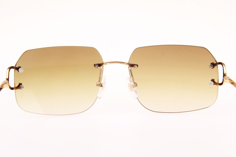 CT 4193833 Sunglasses In Gold Gradient Brown