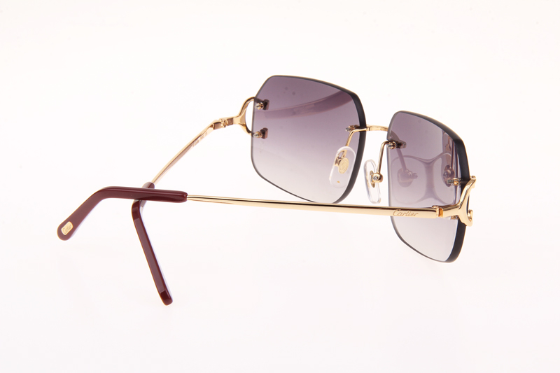 CT 4193833 Sunglasses In Gold Gradient Grey