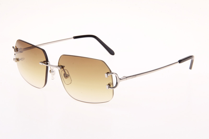 CT 4193833 Sunglasses In Silver Gradient Brown