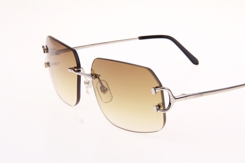 CT 4193833 Sunglasses In Silver Gradient Brown