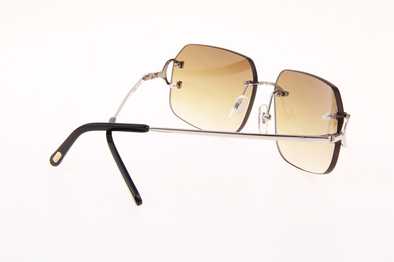 CT 4193833 Sunglasses In Silver Gradient Brown