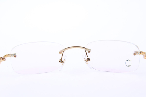 CT 5102336 Eyeglasses In Gold