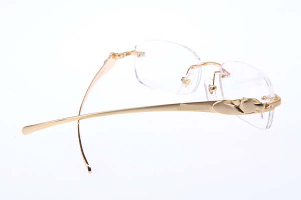 CT 5102336 Eyeglasses In Gold