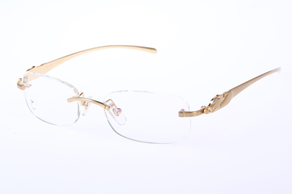 CT 5102336 Eyeglasses In Gold