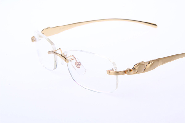 CT 5102336 Eyeglasses In Gold