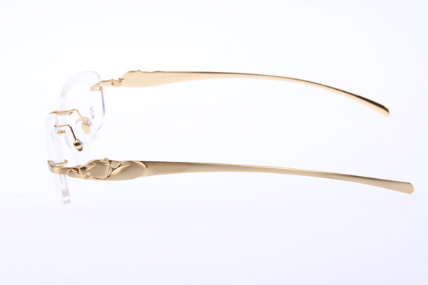 CT 5102336 Eyeglasses In Gold