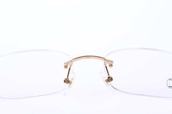 CT 5102336 Eyeglasses In Gold