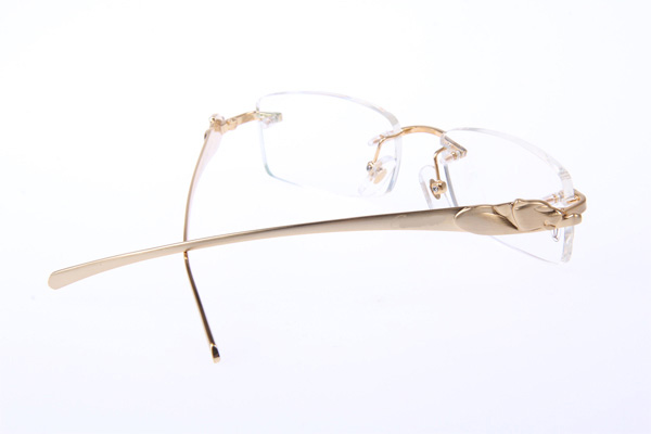 CT 5102338 Eyeglasses In Gold