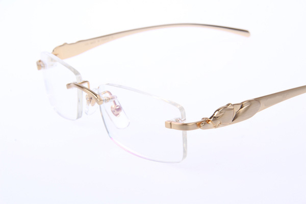 CT 5102338 Eyeglasses In Gold