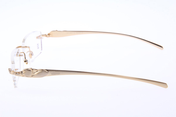 CT 5102338 Eyeglasses In Gold