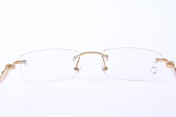 CT 5102338 Eyeglasses In Gold