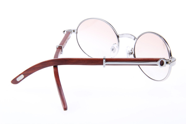 CT 51551348 Wood Sunglasses in Silver