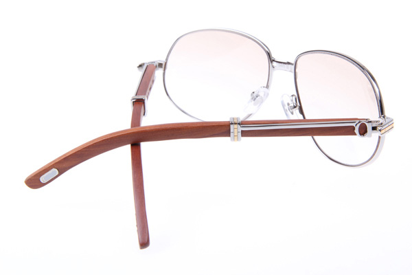 CT 566 Wood Sunglasses In Silver