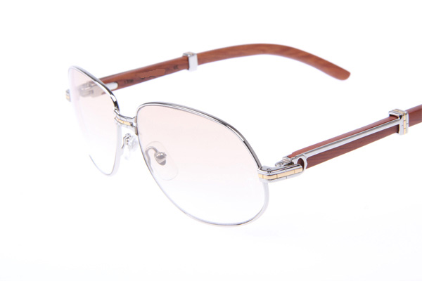 CT 566 Wood Sunglasses In Silver