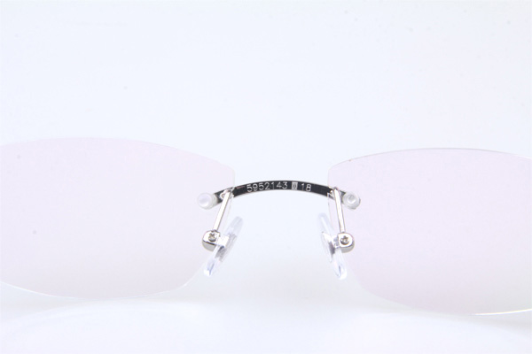 CT 5952143 Eyeglasses In Silver With Tortoise Arms