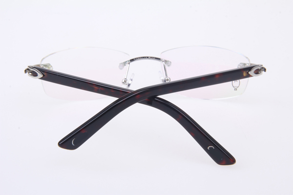 CT 5952143 Eyeglasses In Silver With Tortoise Arms