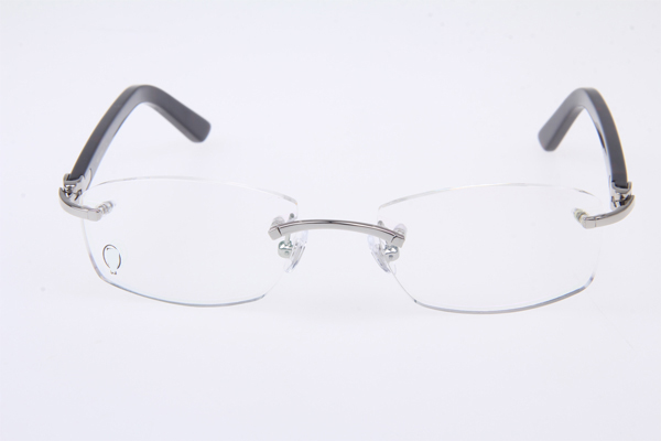 CT 5952143 Eyeglasses In Silver With Tortoise Arms