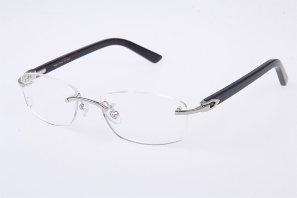 CT 5952143 Eyeglasses In Silver With Tortoise Arms