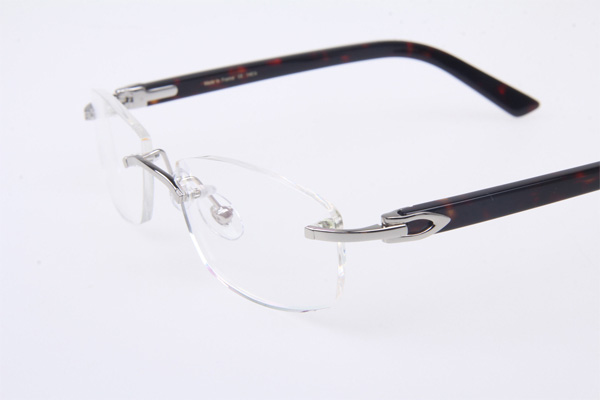 CT 5952143 Eyeglasses In Silver With Tortoise Arms