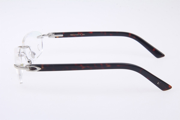 CT 5952143 Eyeglasses In Silver With Tortoise Arms