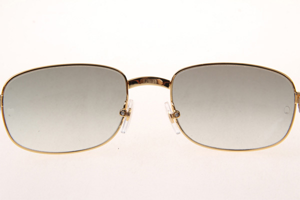 CT 7381148 Wood Sunglasses In Gold Grey