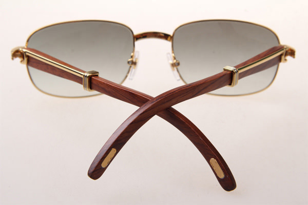 CT 7381148 Wood Sunglasses In Gold Grey