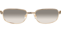 CT 7381148 Wood Sunglasses In Gold Grey