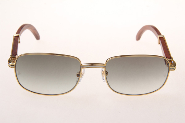 CT 7381148 Wood Sunglasses In Gold Grey