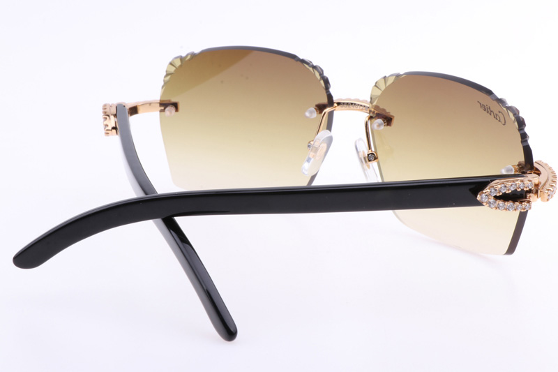 CT 8300818 Big Diamonds Engrave Lens Black Buffalo Sunglasses In Gold Brown