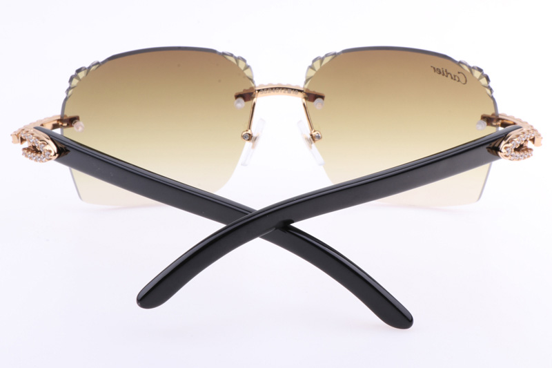 CT 8300818 Big Diamonds Engrave Lens Black Buffalo Sunglasses In Gold Brown