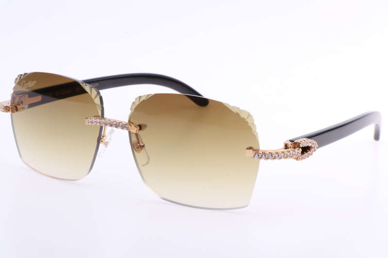 CT 8300818 Big Diamonds Engrave Lens Black Buffalo Sunglasses In Gold Brown