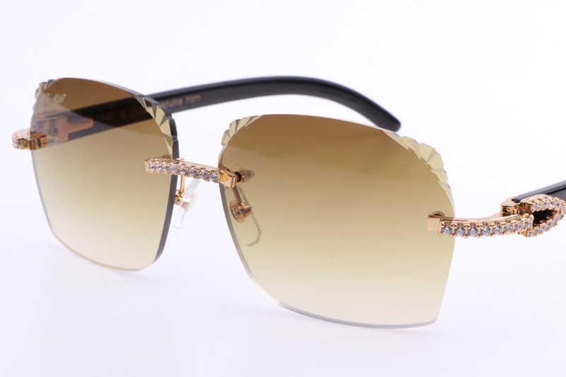 CT 8300818 Big Diamonds Engrave Lens Black Buffalo Sunglasses In Gold Brown