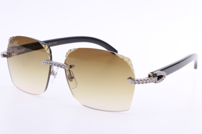 CT 8300818 Big Diamonds Engrave Lens Black Buffalo Sunglasses In Silver Brown