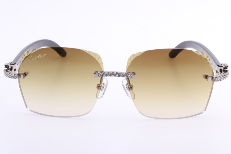 CT 8300818 Big Diamonds Engrave Lens Black Buffalo Sunglasses In Silver Brown