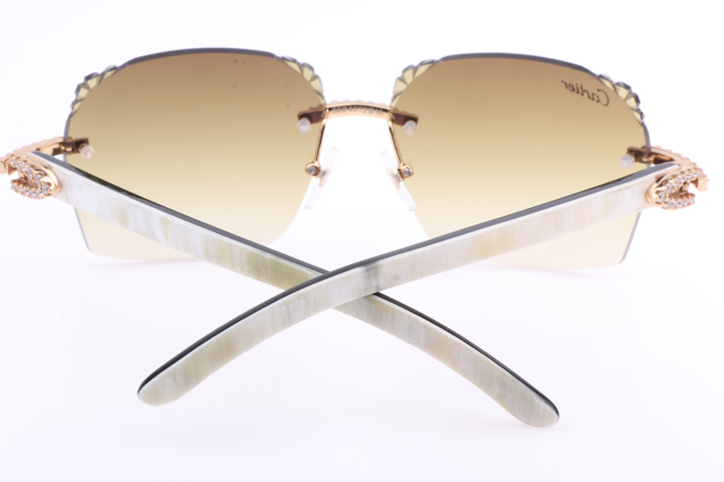 CT 8300818 Big Diamonds Engrave Lens White Mix Black Buffalo Sunglasses In Gold Brown