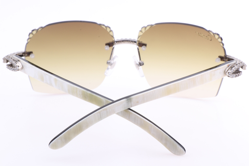 CT 8300818 Big Diamonds Engrave Lens White Mix Black Buffalo Sunglasses In Silver Brown