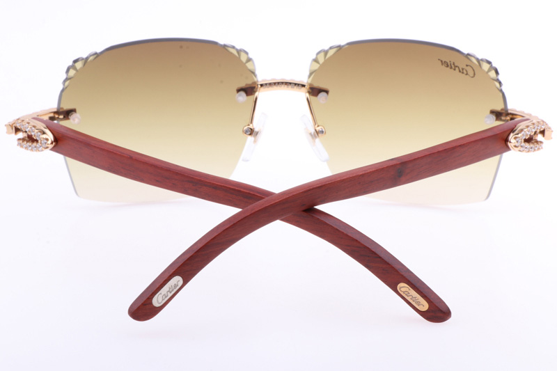 CT 8300818 Big Diamonds Engrave Lens Wood Sunglasses In Gold Brown