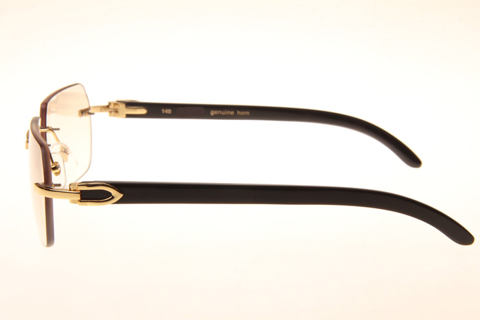 CT 8300818 Black Buffalo Sunglasses In Gold Gradient Brown