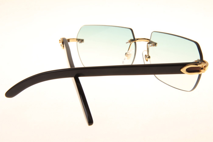 CT 8300818 Black Buffalo Sunglasses In Gold Gradient Green