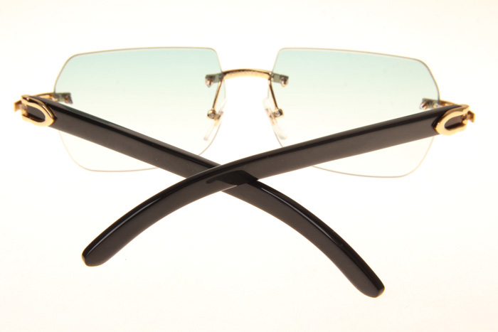 CT 8300818 Black Buffalo Sunglasses In Gold Gradient Green