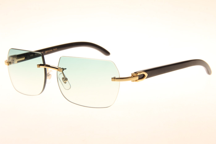 CT 8300818 Black Buffalo Sunglasses In Gold Gradient Green
