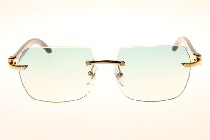 CT 8300818 Black Buffalo Sunglasses In Gold Gradient Green