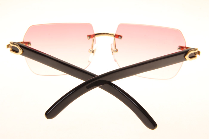 CT 8300818 Black Buffalo Sunglasses In Gold Gradient Pink