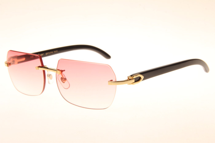 CT 8300818 Black Buffalo Sunglasses In Gold Gradient Pink
