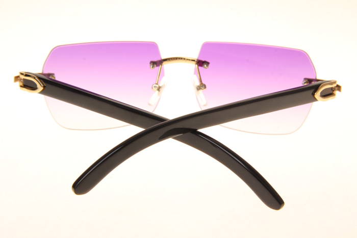 CT 8300818 Black Buffalo Sunglasses In Gold Gradient Purple