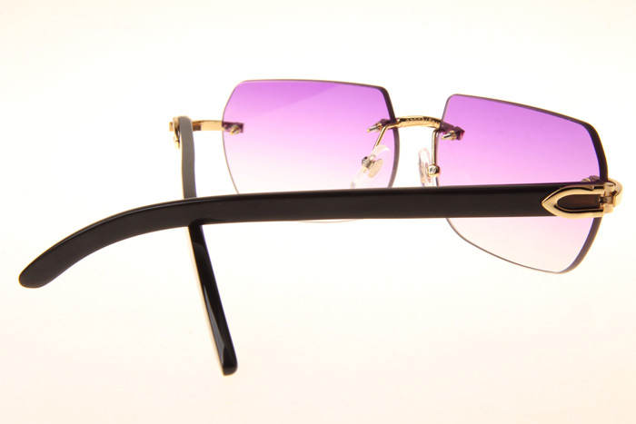 CT 8300818 Black Buffalo Sunglasses In Gold Gradient Purple