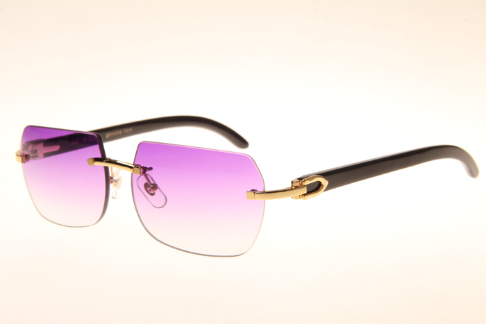 CT 8300818 Black Buffalo Sunglasses In Gold Gradient Purple