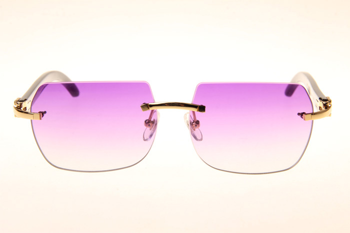 CT 8300818 Black Buffalo Sunglasses In Gold Gradient Purple