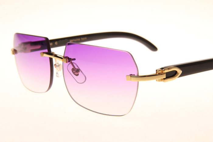 CT 8300818 Black Buffalo Sunglasses In Gold Gradient Purple