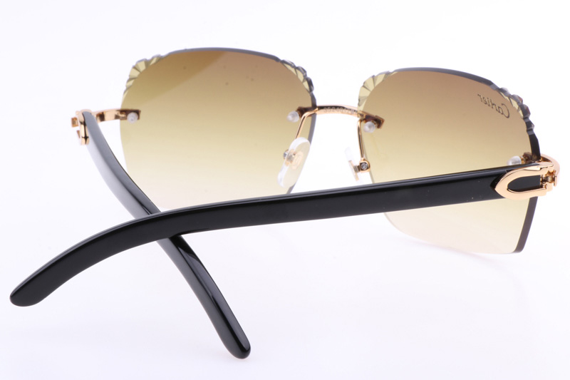 CT 8300818 Engrave Lens Black Buffalo Sunglasses In Gold Brown